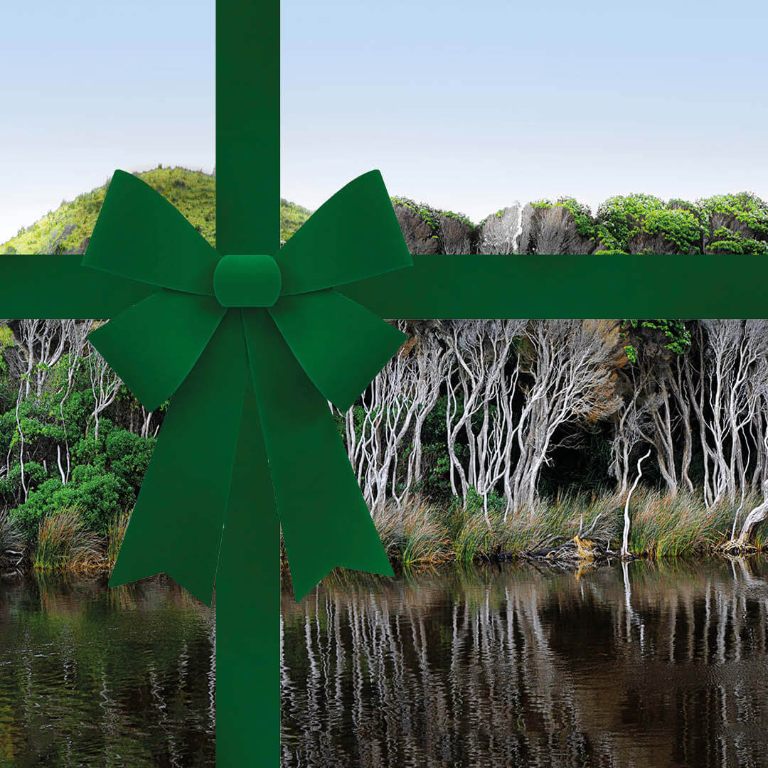Carte Cadeau Australian Bodycare - Image 4